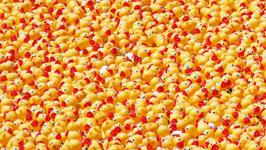 hundreds of rubber ducks clustered together